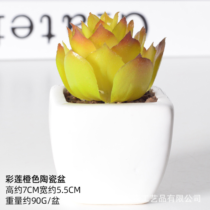 Simulación de cerámica bonsai de carne doméstica decoración de escritorio de oficina plantación verde maceta props de disparo maceta combinada artificial image 13