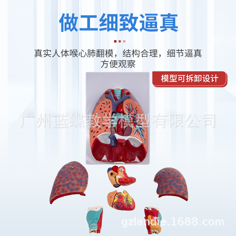 ��Ȼ��������ķ�ģ�ͺ�����״�ٷ�����ģ�ͺ���ϵͳ�β��������