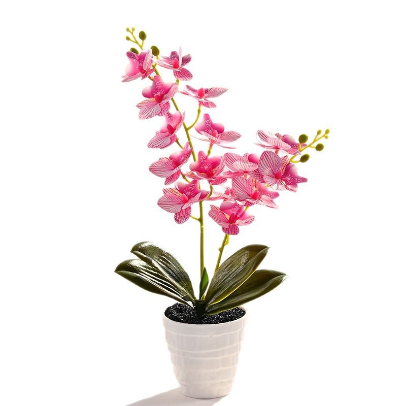 15 flores Phalaenopsis bonsai flor artificial moda creativa decoración de flores decoración artificial planta verde simulación pequeña en maceta image 6