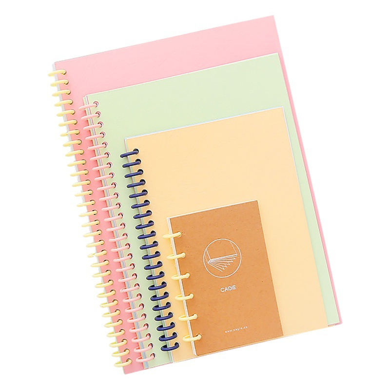 A4 Loose-Leaf Ring 30-Hole Loose-Leaf Buckle Loose-Leaf Ring Binding Ring Buckle Ring DIY Loose-Leaf Book Clip Buckle Plastic Ring