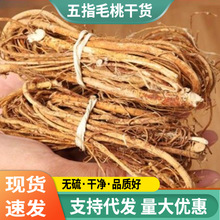 五指毛桃茯湿膏无硫干货汤料包五指毛桃自然采摘根部鸡煲配料现货