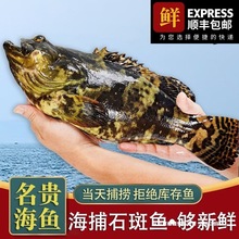 �ϻ����r�~��r�����麣�~ʯ���~�����đ�߰ߺ��rˮ�a���y���r��