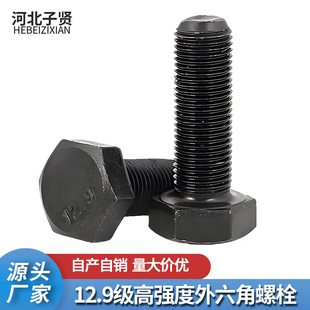 35CrMo�����l�������^�ݽz����12.9���ߏ�����������˨