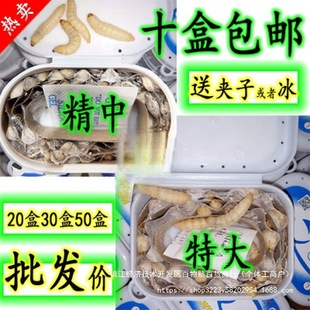 �������x�����x���x ���x �����x���w  �����B��ʳ�B��Ϟ�����x