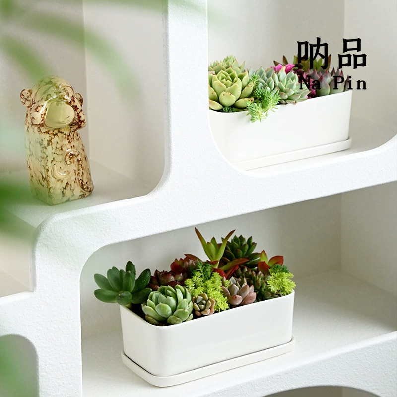 Салфетка Внешняя торговля Экспорт трансграничный эксклюзивный для белого фарфора прямоугольная раковина керамический мясистый цветочный горшок фарфоровая Опора Factory Outlet