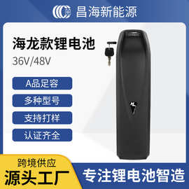 外贸专供48V海龙PRO电动自行车52V山地车36V15AH锂电池可充电电瓶