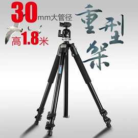 相机三脚架;其他摄影器材;摄影云台