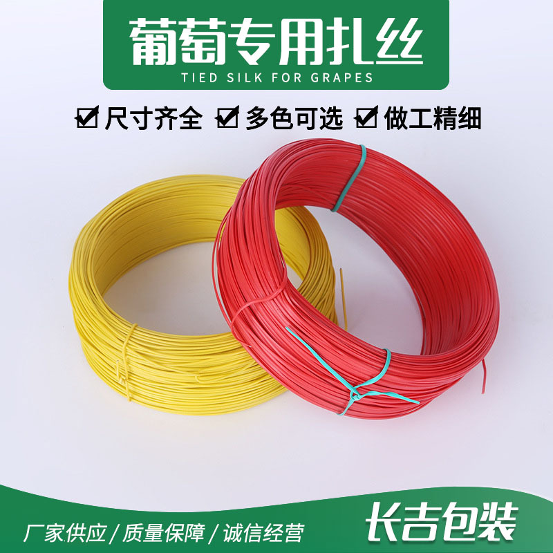 pvc镀锌扎丝100米园林扎丝 包塑葡萄扎丝 现货供应植物固定扎带