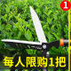 Airui gardening scissors garden flower shears pruning shears lawn special green grass shears strong pruning branches