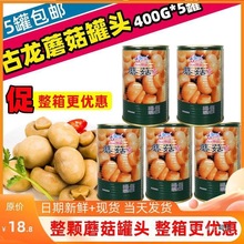 古龙蘑菇罐头425g*5罐装整个蘑菇片披萨烘焙原料速食蘑菇开罐即食
