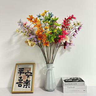 �������m13�����^10�����҃�ܛ�b���ķ��滨 �Ҿ��쾰��ꐼٻ�