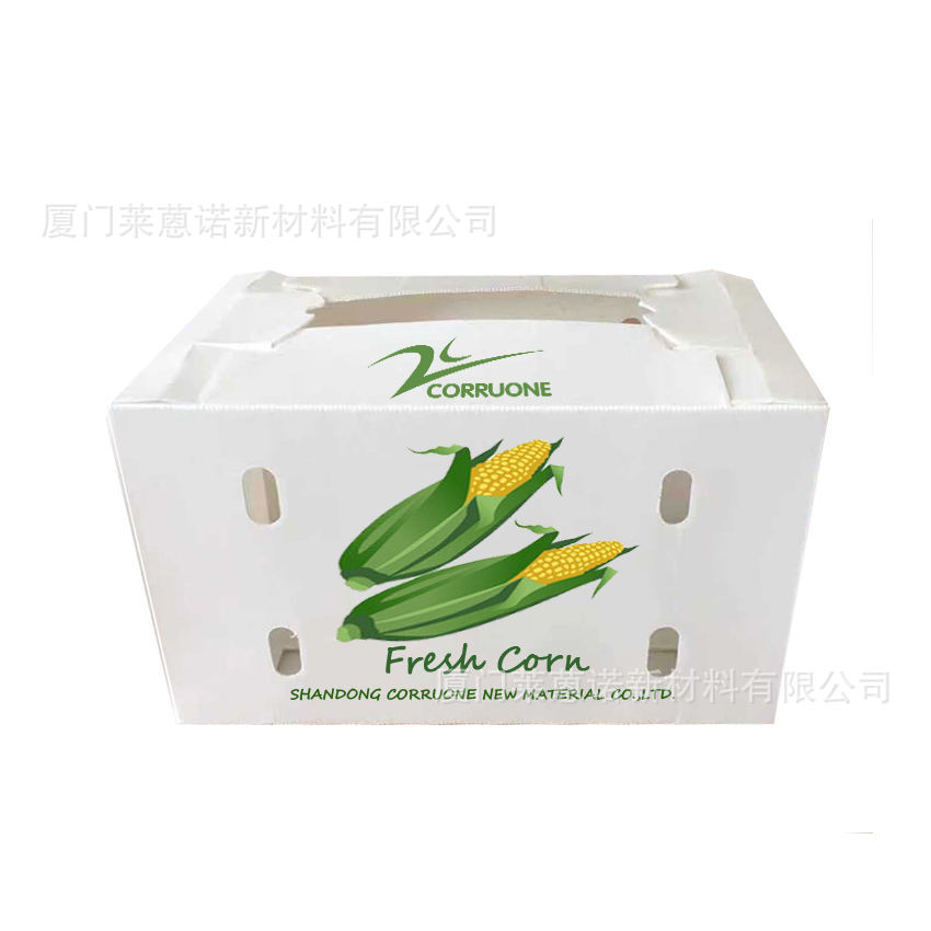 Caja de frutas y verduras de placa hueca pp personalizada plegable impermeable frutas y verduras frescas de transporte de cadena de frío Caja de plástico de calcio image 20