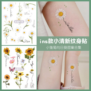 ��ɫ�y���NŮins�LС���»���һ����ˮ�Dӡ�̺����w�N�ɐ������N
