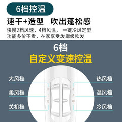 Borei Hair Dryer with Cold and Hot Air, Foldable 2000W High Power Model PH1625 1626, Circulation Series