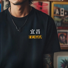 �����˲���ͨ��������Ļ�������ӡ���ļ�����T���к�ɫ���ތ���