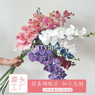 Դ�^���S����9�^3D�����m���滨�߼��б���ٻ���c�û���������