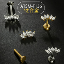 �F؛�W�����N�R�ۻ����ʯ������� ASTM-F136⁺Ͻ����Ůͨ��