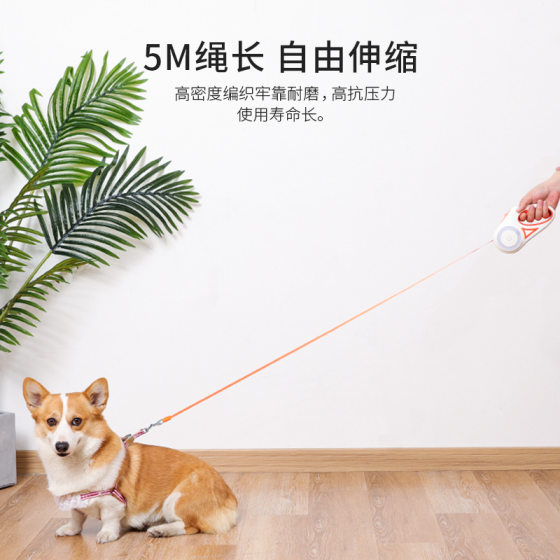 New LED luminous dog leash pet leash automatic retractable dog walking rope dog leash dog supplies wholesale