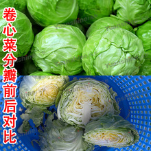 Դ�^�S�ҹ��߷ְ�C �ݲ���˷ְ�C �A�ײ�ľ�Ϸְ�C