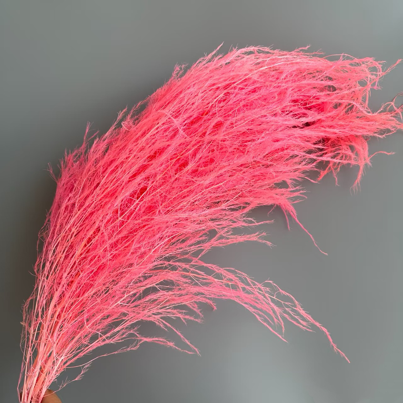 Florista sueña material floral suave decoración de bodas hierba de pelo seco flores eternas multicolores al por mayor