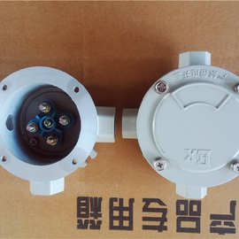 AH防爆接线盒DN15 DN20 DN25一二三四通平吊盖4分6分铝合金接线盒