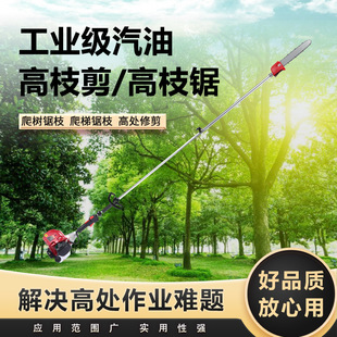 ���͸�֦��䏸߿�䏶๦�ܹ��@���ø�֦�����͸�֦�G�h��3�׸��