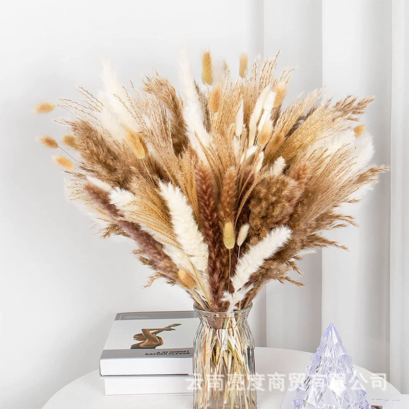 Pampas naturales ramo de flores secas cola de conejo hierba pequeña Reed polvo Reed madera estilo bohemio decoración del hogar
