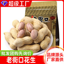 新货老街口花生批发奶香蒜香花生带壳下酒菜零食即食多味炒花生