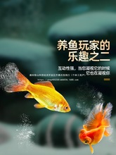 С�ͽ��~�~�����B�^�p��ˮ���~���~��۽��~С����\�����~�^�p�~