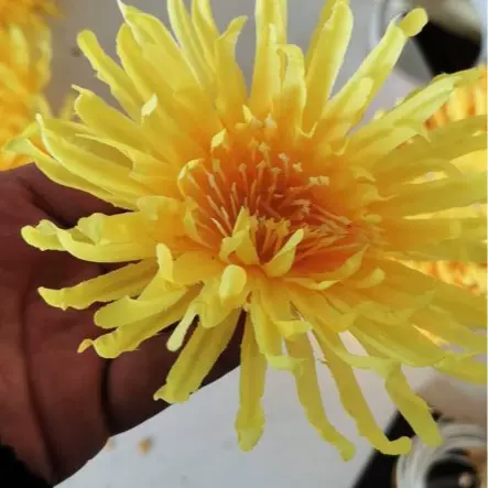 12cm菊花细菊花花朵绢花永生花插花装饰花