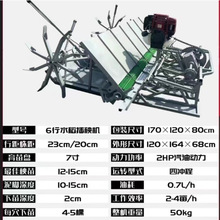 水稻插秧机 水稻秧苗插秧种植机 水稻点播机   秧苗机  播种机