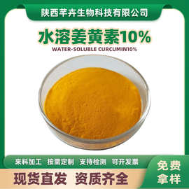 水溶姜黄素10%姜黄提取物 水溶姜黄粉 姜黄色素粉 姜黄根提取物