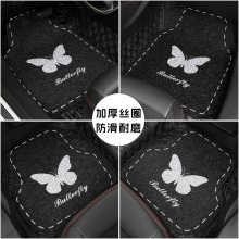 2025新款汽车脚垫可爱丝圈车内防脏地毯保护垫子加厚通用耐磨地垫