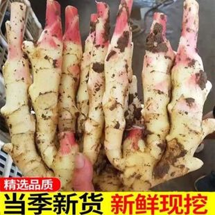 �������rʳ���۽�ѿ�F�ڮ����r���ۼtѿ�ӽ��н��Ͻ������_θ����