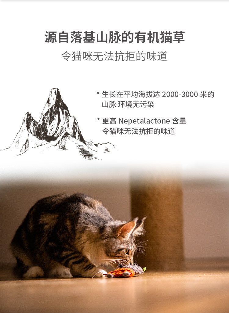 貴為16貓草描述3.jpg