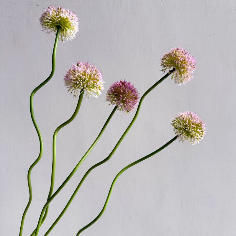 Artificial Curly Green Onion Balls, Small Green Onions, Silk Flowers for Mall and Hotel Decoration, Outdoor Garden Landscaping, Flower Arrangements, Artificial Flowers
