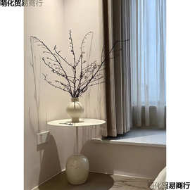 禅意干枝风干植物灯台树枝带果干花枝新中式插花居装饰摆件