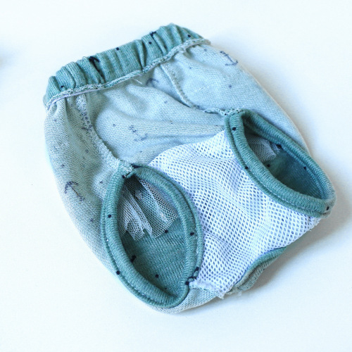 Pet dog menstrual pants, cute skirt lace pants, Teddy safety sanitary pants, star point anchor gauze menstrual pants