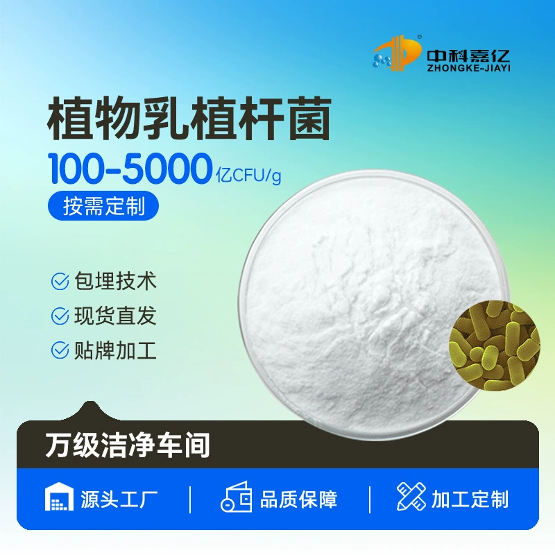 Растительные Lactobacillus JYLP-002 пробиотики 10 миллиардов лиофилизированный молочнокислый порошок пищевой лиофилизированный порошок