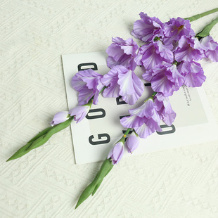 �߼����滨8�^���m ����  �͏d��ײ����b[�����컨�w������l