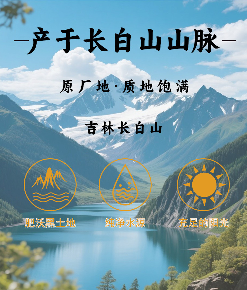 Wild Mountain Ginseng Powder Ren Shen Powder 12g Gift Box Changbai Mountain Forest Ginseng overview