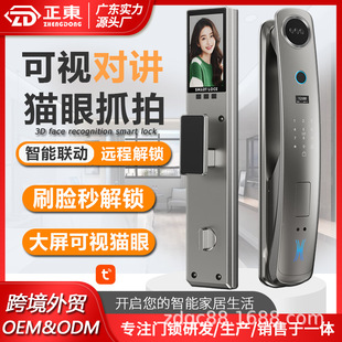 Fully Automatic Intelligent Anti-Theft Lock Graffiti 3D Face Recognition Fingerprint Password Cat Eye Smart Lock Cat Eye Intercom Door Lock