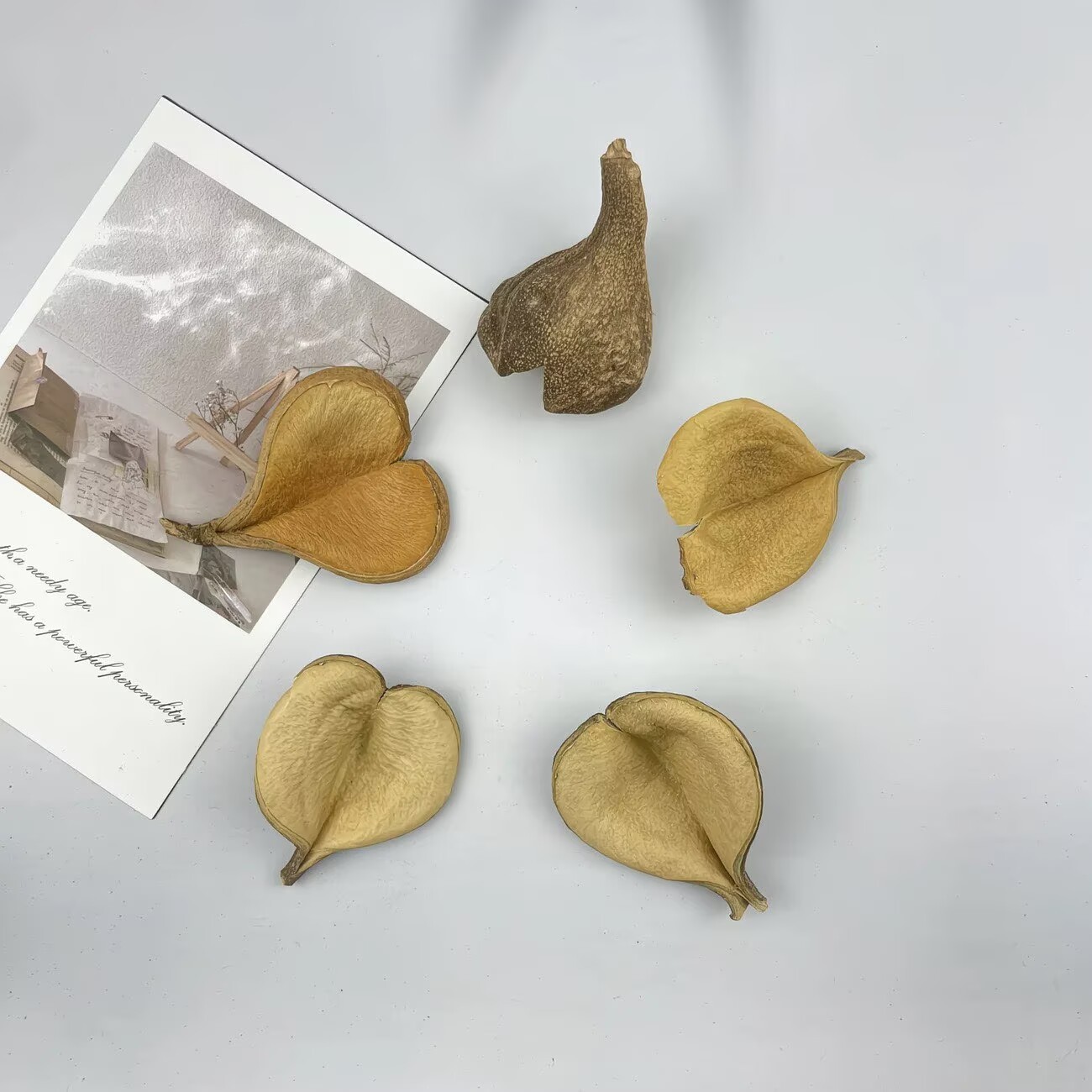 F441460276C9674D5F398C9849B535