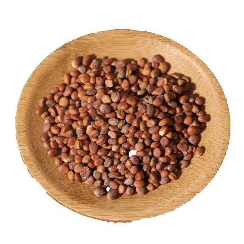 Lai Fu Zi (Raphanus sativus Seed) — Dried Radish Seed for Tea & Decoction quality and texture
