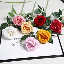 ���˹���֧��˼�q��õ�廨���ٲ����̷��滨�ٻ��廨�Ҿ��b羳