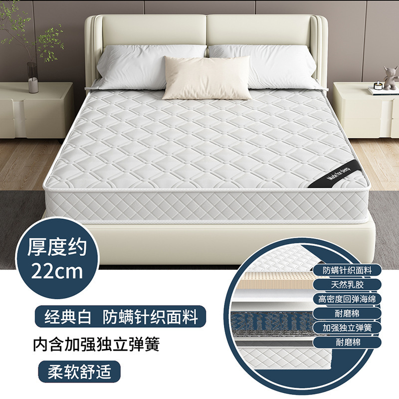 席梦思床垫家用卧室独立软垫弹簧床垫20cm厚1.5米租房专用硬椰棕|undefined