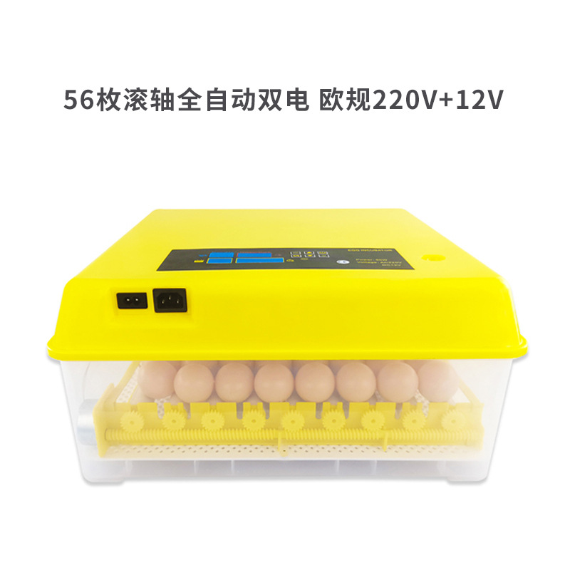 Rodillo de 56 piezas totalmente automático dual eléctrico 220V+12V (tenga en cuenta el enchufe al realizar el pedido)