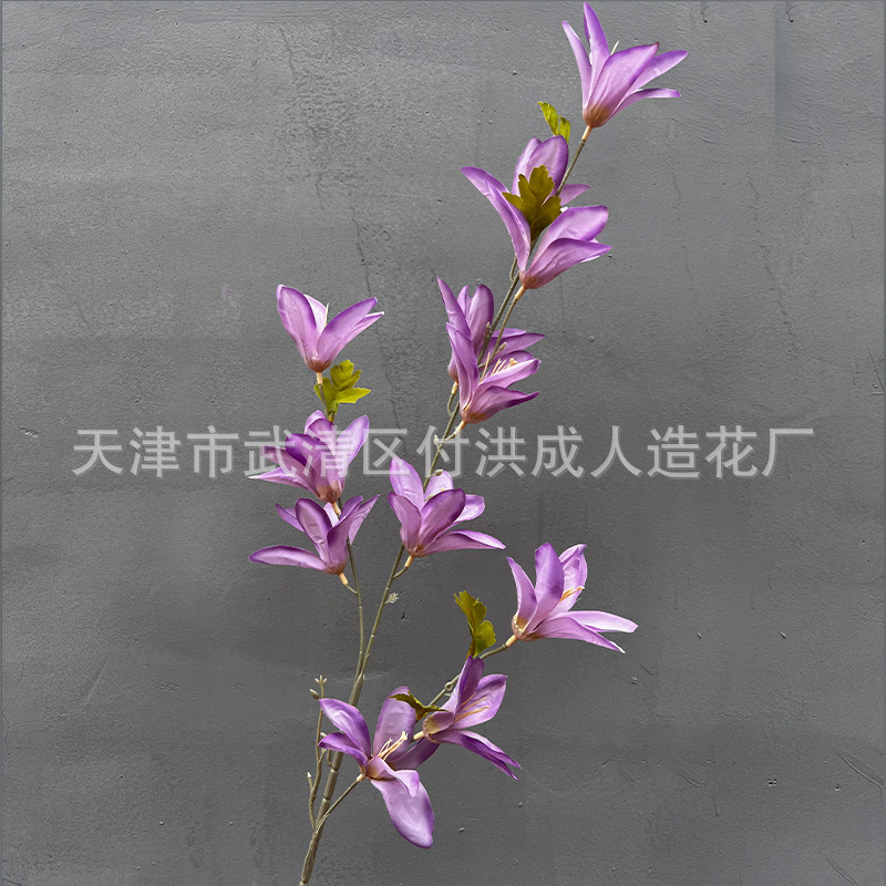 바람과 비 난초