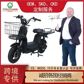 电动摩托车;电动自行车;电动三轮车