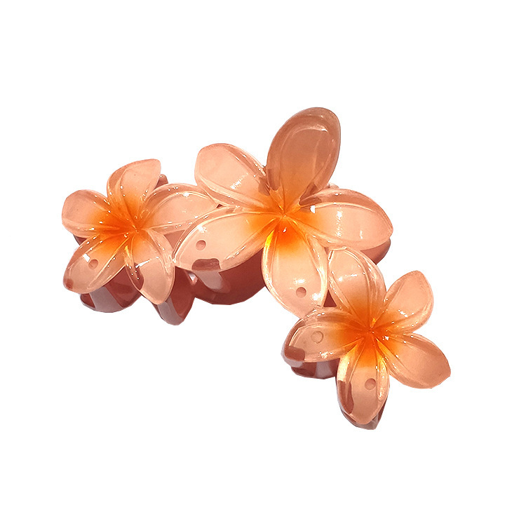 国境を越えたアマゾンの卵の花がグラデーションの花のキャンディー色の紫荊花の後頭部をつかんでサメの花を挟んで髪を伸ばします。|undefined